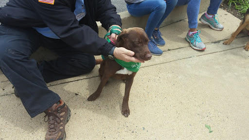 Pet Supply Store «Unleashed by Petco», reviews and photos, 5400 Lee Hwy a, Arlington, VA 22207, USA