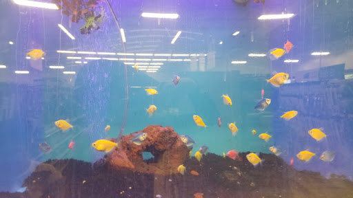 Pet Supply Store «Petco Animal Supplies», reviews and photos, 2277 Ford Pkwy, St Paul, MN 55116, USA