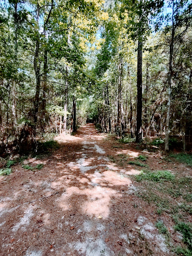 Park «Lake Houston Wilderness Park», reviews and photos, 25840 FM 1485, New Caney, TX 77357, USA