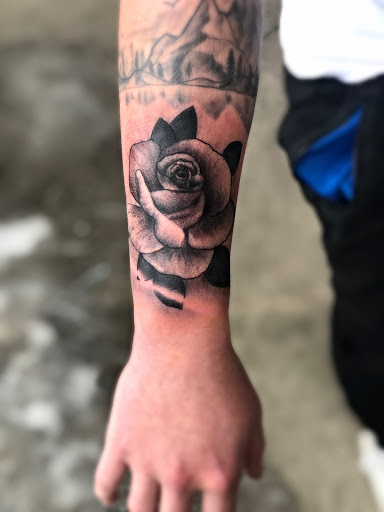 Find dino tattoo ideas for your next unique tattoo in Roscoe at Elevated Ink Tattoo