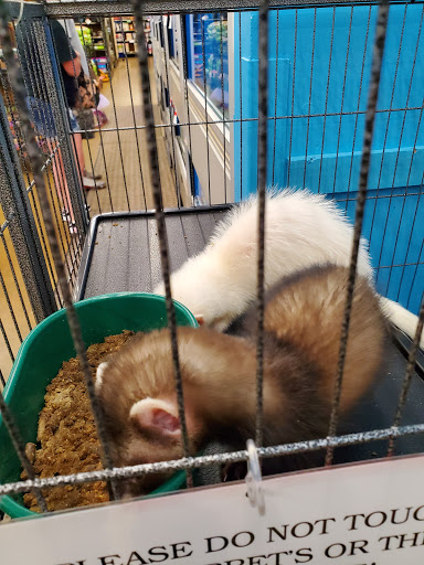 Pet Supply Store «Pet Supplies Plus», reviews and photos, 1213 Mentor Ave, Painesville, OH 44077, USA