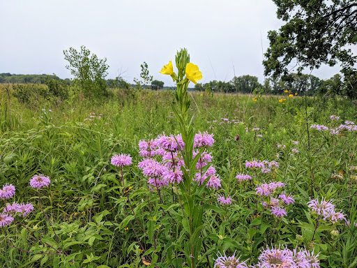 Park «Washington County Parks Department», reviews and photos, 1515 Keats Ave N, Lake Elmo, MN 55042, USA