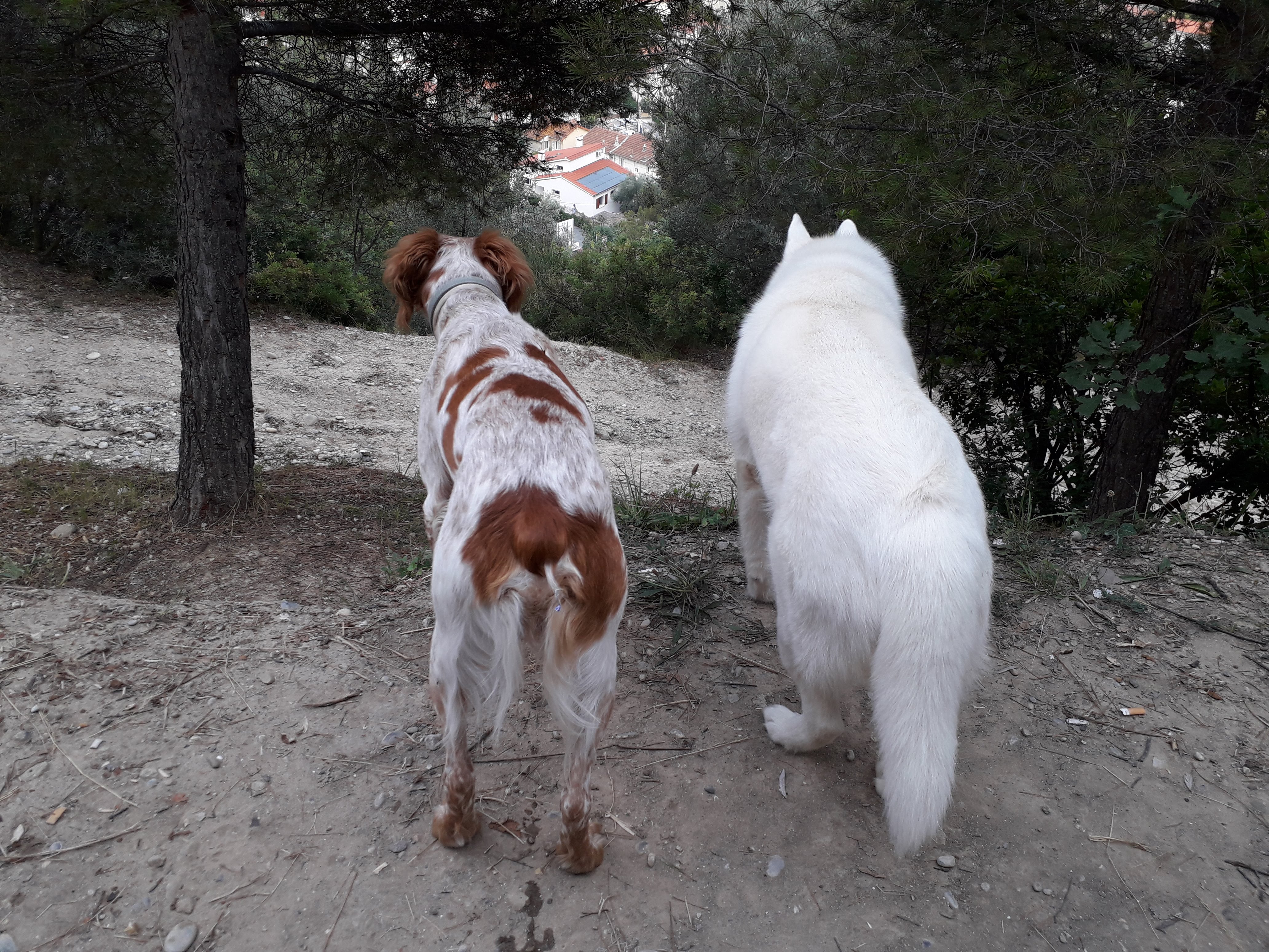 Photo n° 1 de l'avis de Caren.o fait le 10/07/2018 à 17:47