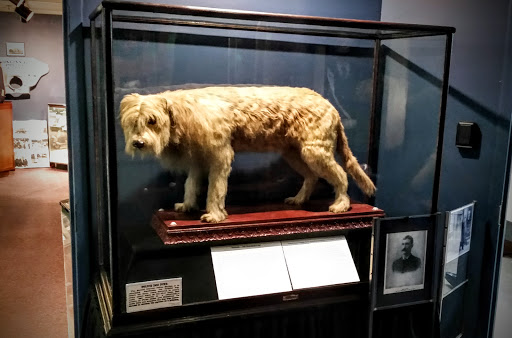 Museum «Greater Cincinnati Police Museum», reviews and photos, 308 Reading Rd, Cincinnati, OH 45202, USA