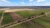 Fazenda Garibaldina Logotipo, Lagoa Grande Na Ɛwɔ Hɔ, Brasil, Alimento