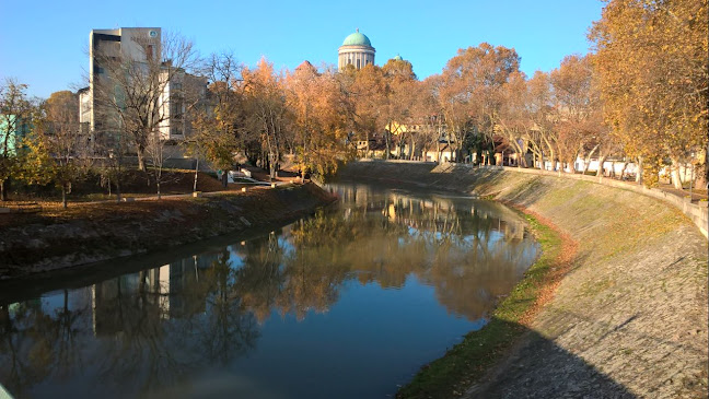 Győri Péter-AVI Trans Kft