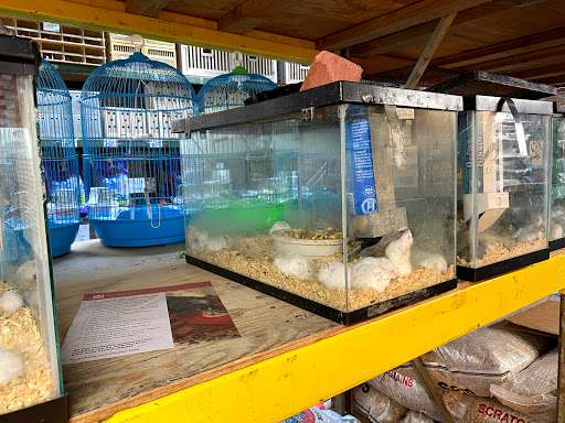 Animal Feed Store «Farmers Feed & Pet Supply», reviews and photos, 1302 E Miner Ave, Stockton, CA 95205, USA