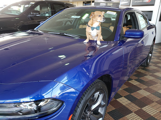 Car Dealer «Hanlees Chrysler Dodge Jeep Ram of Napa», reviews and photos, 333 Soscol Ave, Napa, CA 94559, USA