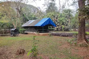 Camping Site, Sanjay Gandhi National Park image