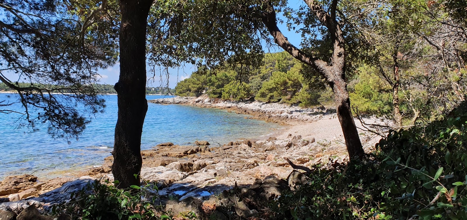 Foto di Zlatna uvala con una superficie del terreno roccioso
