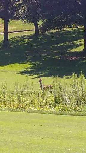 Golf Club «Springfield Golf & Country Club», reviews and photos, 8301 Old Keene Mill Rd, Springfield, VA 22152, USA