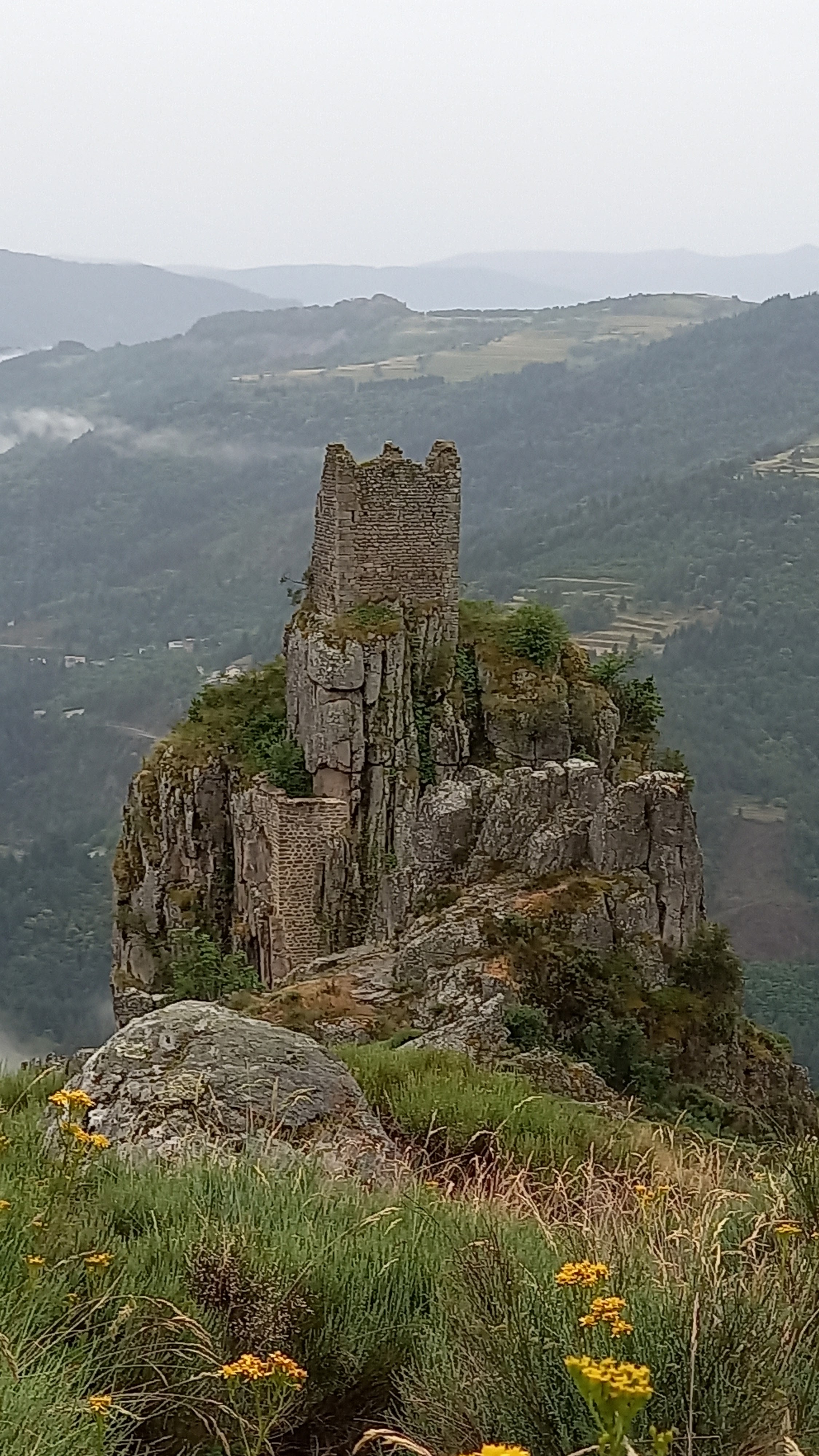 Photo n° 6 de l'avis de Lina.A fait le 04/07/2021 à 09:04