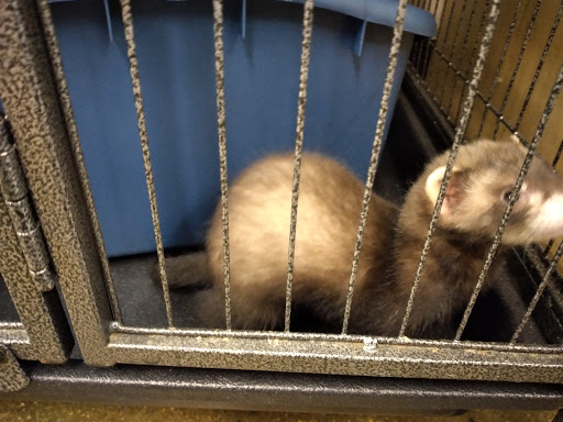 Pet Supply Store «Pet Supplies Plus», reviews and photos, 101 Sutton Ave, Oxford, MA 01540, USA