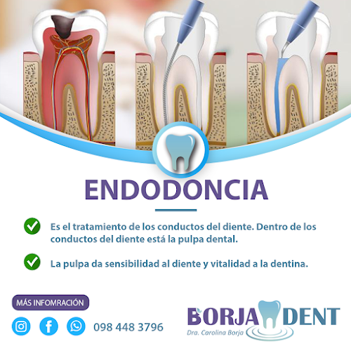 Opiniones de Borjadent en Ambato - Dentista