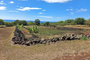 Puu O Mahuka State Monument image