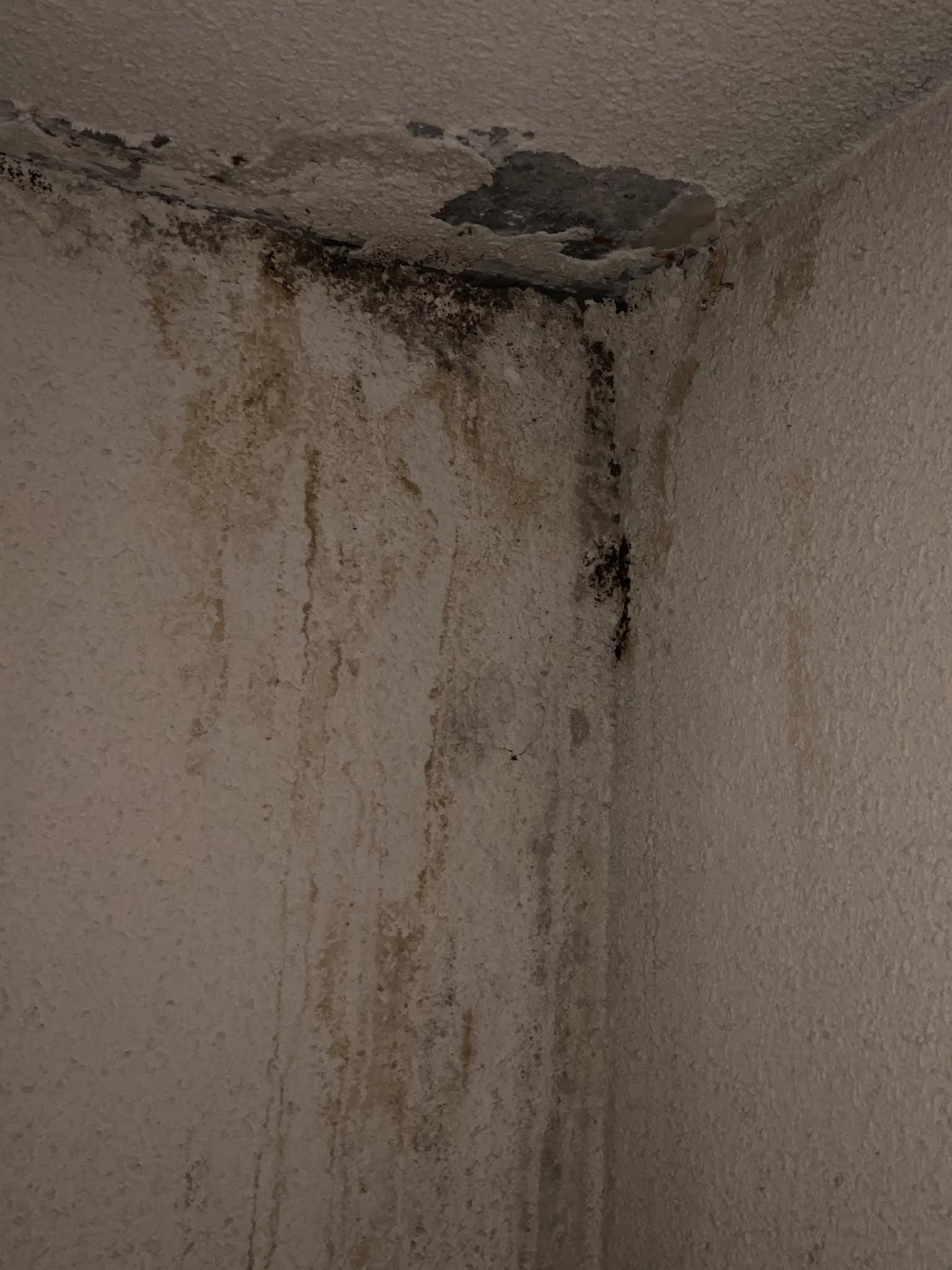 Photo n° 1 de l'avis de Angélique.e fait le 11/09/2020 à 05:17