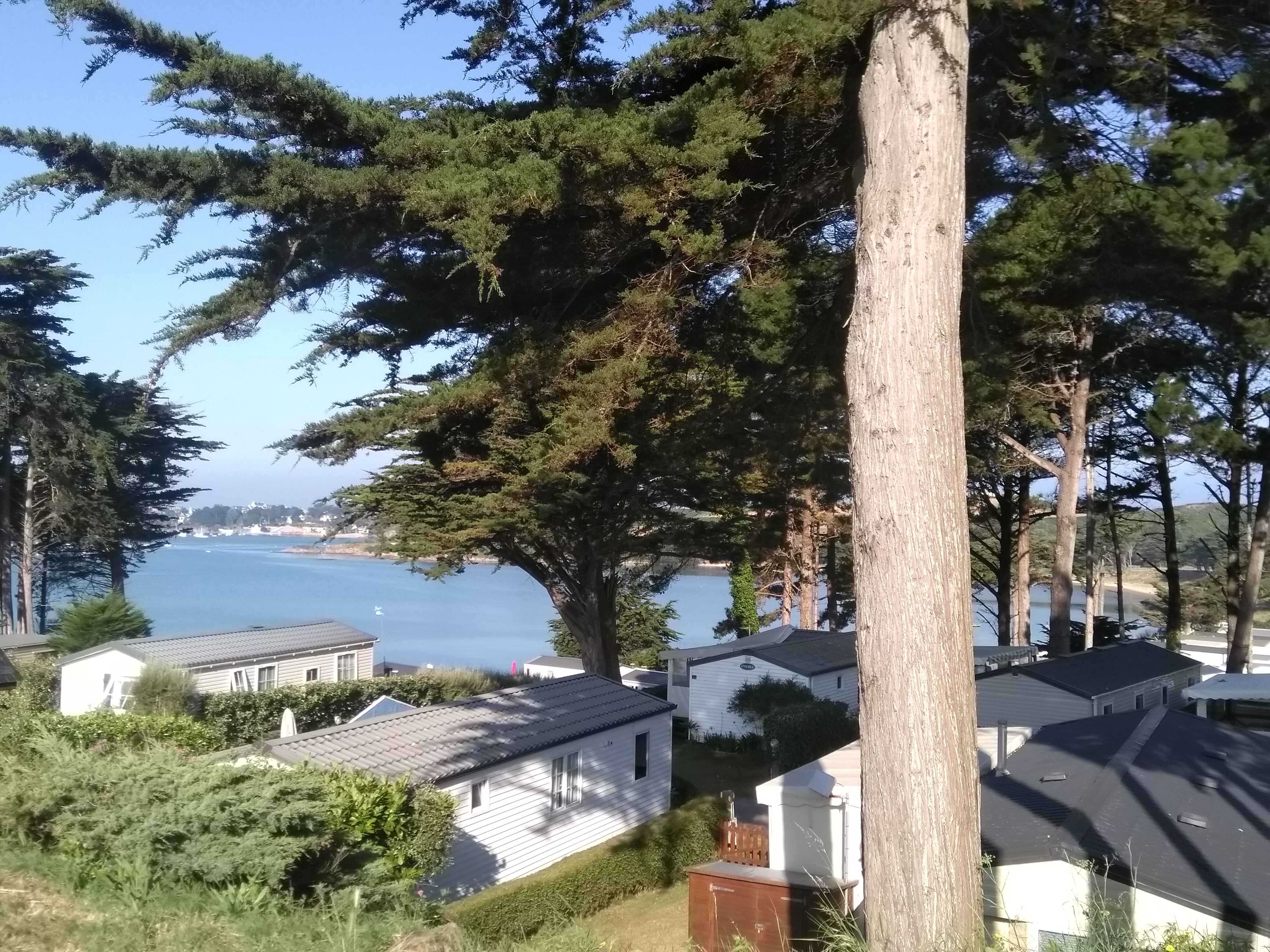 Photo n° 4 de l'avis de L. fait le 09/08/2018 à 13:17