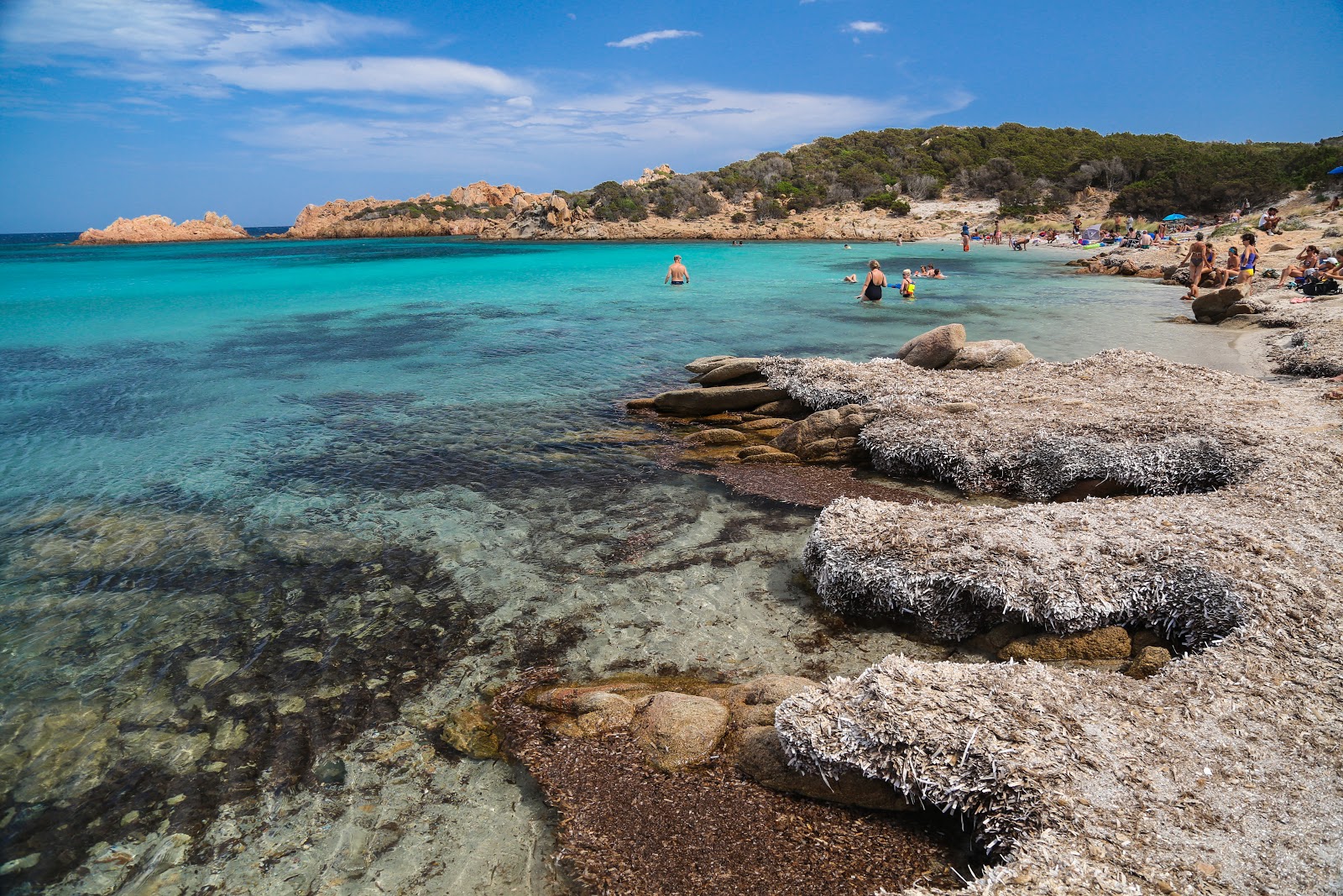 Photo of Cala Andreani with partly clean level of cleanliness