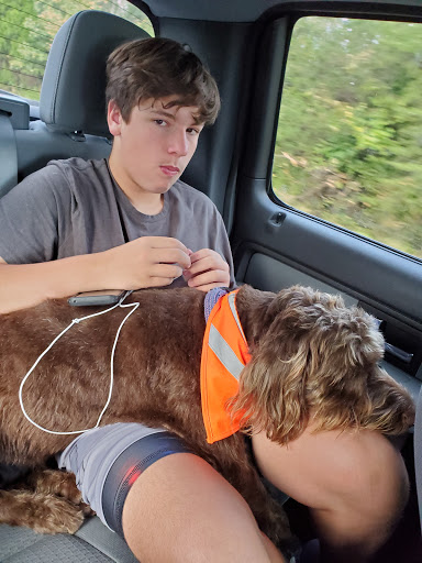 Pet Supply Store «Saluda River Pet», reviews and photos, 130 Robin Helton Dr, Boiling Springs, SC 29316, USA