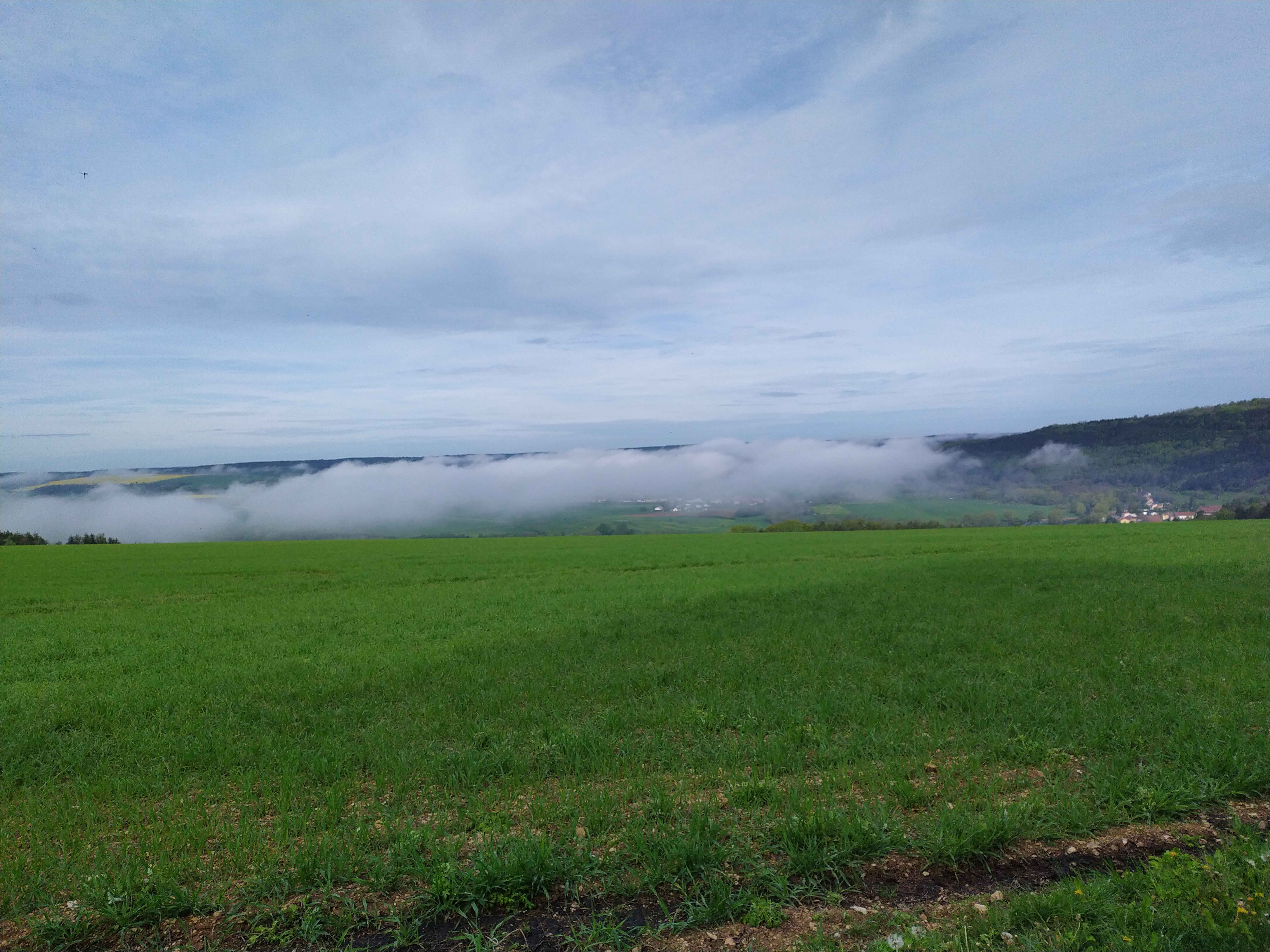 Photo n° 2 de l'avis de Pierre.a fait le 20/06/2023 à 12:09