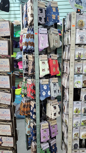 Gift Shop «Ocean Waves Gift Shop & Bike Rentals», reviews and photos, 3212 Atlantic Ave, Virginia Beach, VA 23451, USA