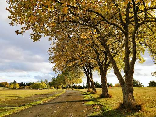 Park «Discovery Park», reviews and photos, 3801 Discovery Park Blvd, Seattle, WA 98199, USA