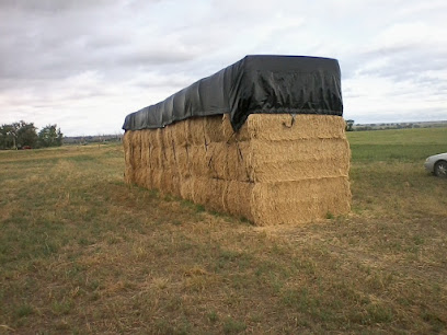 Hay for Sale South Dakota