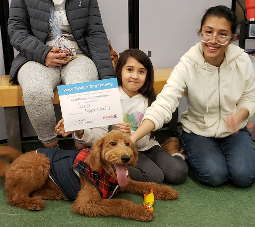 Pet Supply Store «Petco Animal Supplies», reviews and photos, 160 S Mannheim Rd #100, Hillside, IL 60162, USA