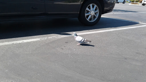 Department Store «Target», reviews and photos, 800 New Los Angeles Ave, Moorpark, CA 93021, USA