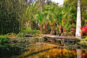 Joy & Gordon Patterson Botanical Garden