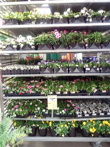 Home Improvement Store «The Home Depot», reviews and photos, 251 S Industrial Blvd, Euless, TX 76040, USA