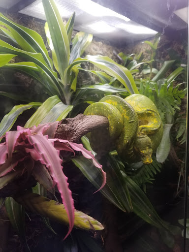 Pet Store «Fin-N-Feather», reviews and photos, 2931 F St, Eureka, CA 95501, USA