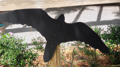 Zoo «Audubon Center for Birds of Prey», reviews and photos, 1101 Audubon Way, Maitland, FL 32751, USA