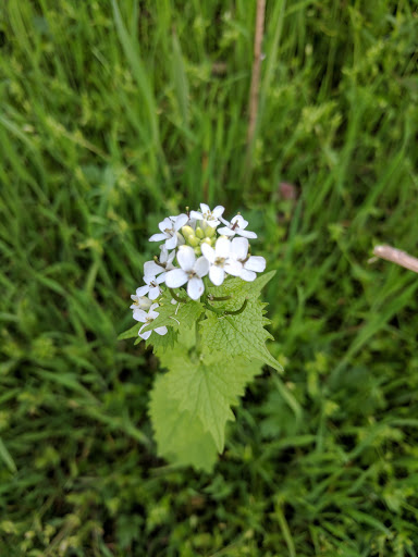 Golf Course «RiverWinds Golf & Tennis Club», reviews and photos, 270 Eagle Point Rd, West Deptford, NJ 08086, USA