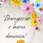 Photo n°1 de l'avis de Girolama.l fait le 27/08/2023 à 16:15 sur le  In Villa Trecate à Trecate