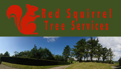 Red Squirrel Tree Services