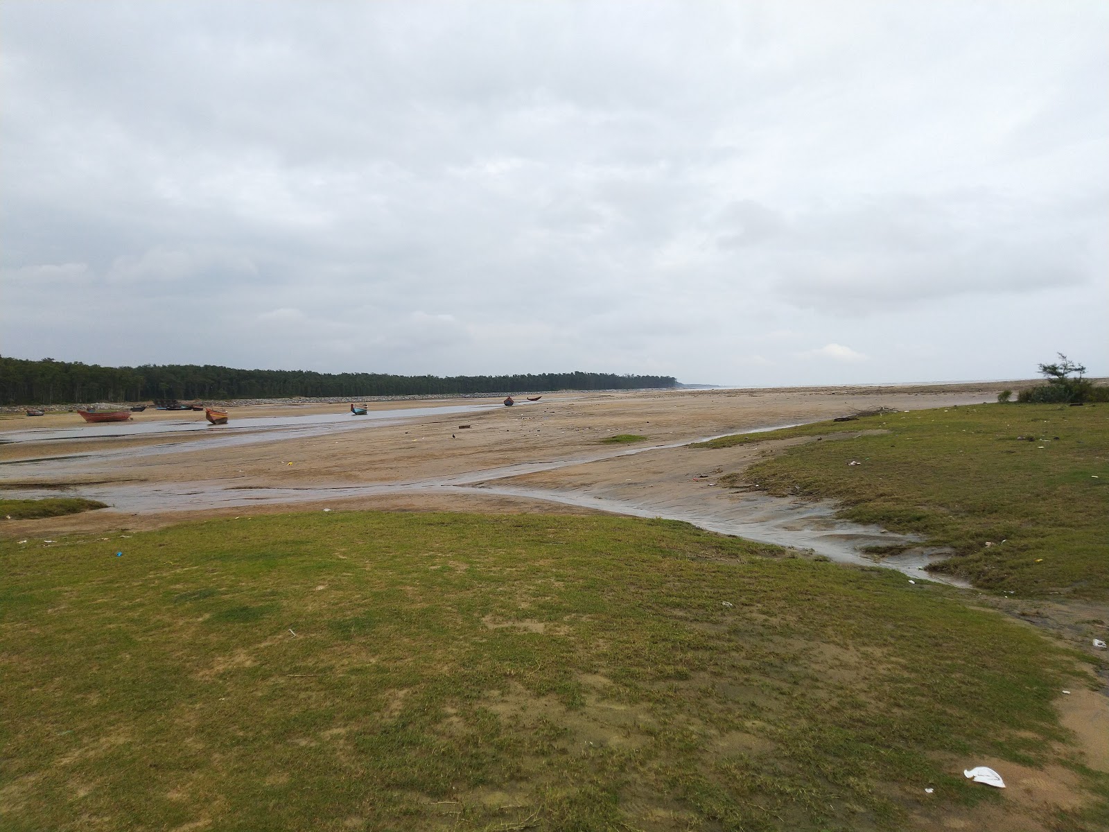 Photo of Talsari Beach and the settlement