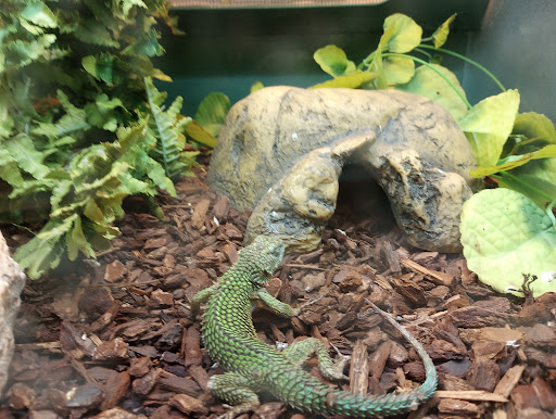 Pet Supply Store «Pet Supplies Plus», reviews and photos, 5315 Airport Hwy, Toledo, OH 43615, USA