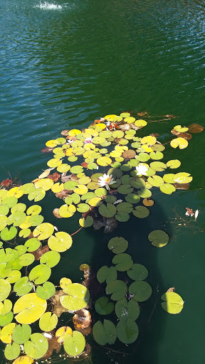 Wedding Venue «The Water Oasis», reviews and photos, 15055 NE Dopp Rd, Newberg, OR 97132, USA