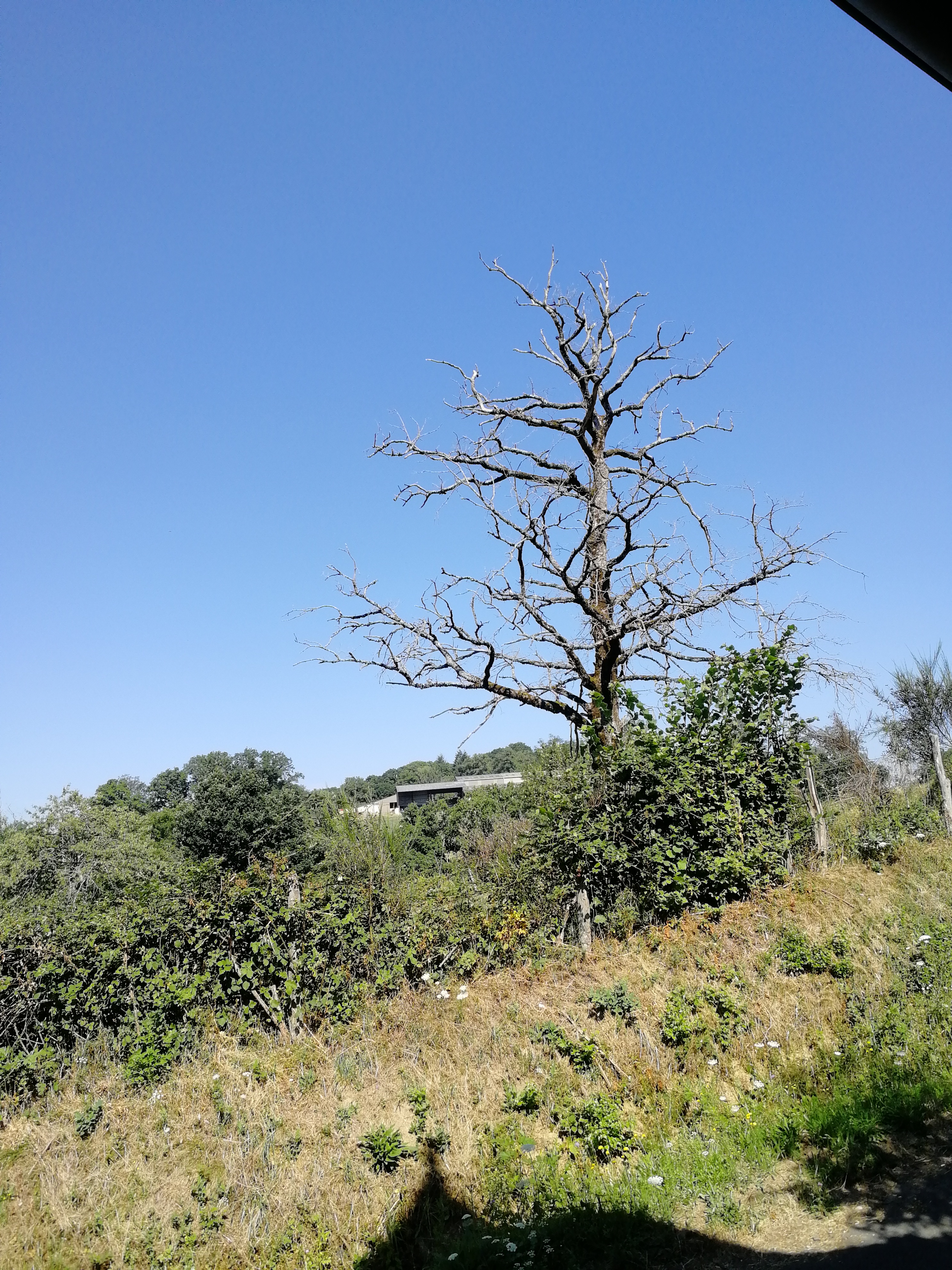 Photo n° 3 de l'avis de Max.a fait le 21/07/2018 à 12:09