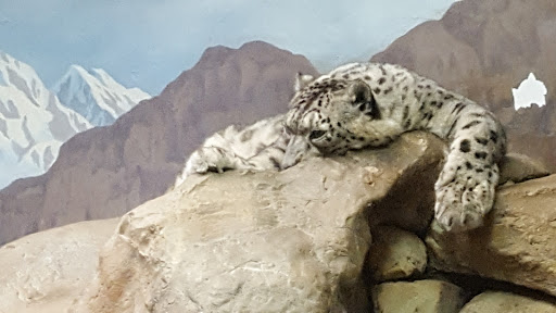 Zoo «Denver Zoo», reviews and photos, 2300 Steele St, Denver, CO 80205, USA