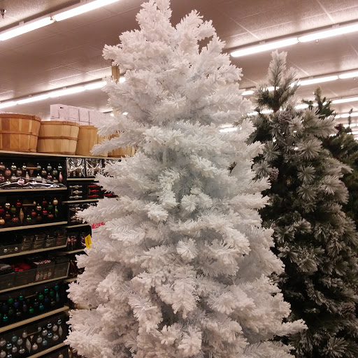 Craft Store «Hobby Lobby», reviews and photos, 1404 Old Aberdeen Rd #41, Columbus, MS 39705, USA