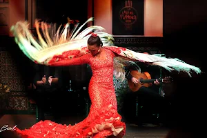 La Casa del Flamenco - Auditorio Alcántara image
