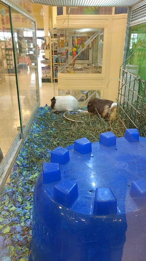Pet Supply Store «PetSmart», reviews and photos, 1550 Butterfield Rd, Downers Grove, IL 60515, USA