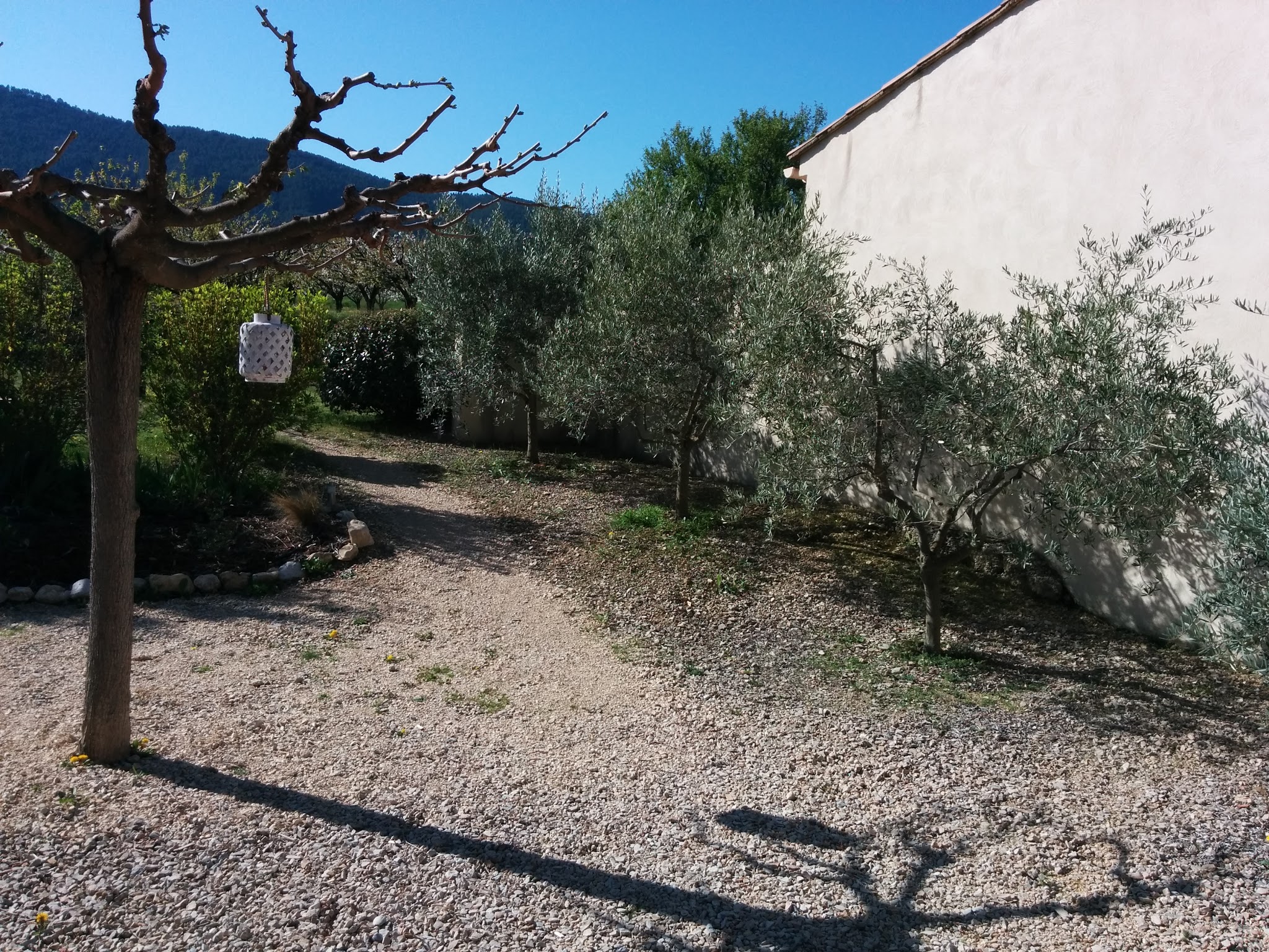 Photo n° 4 de l'avis de Thomas.c fait le 11/04/2018 à 06:57