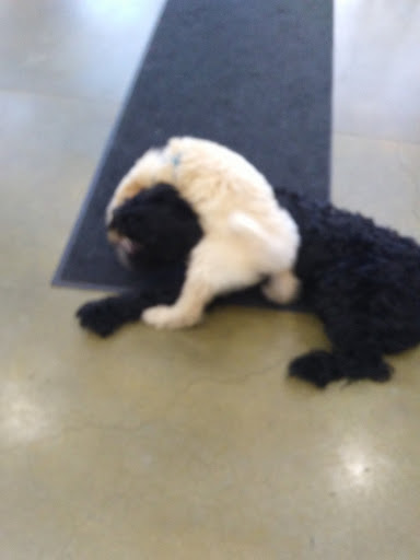 Pet Supply Store «Zamzows on Franklin Blvd», reviews and photos, 1201 Franklin Blvd, Nampa, ID 83687, USA