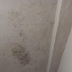 Photo n°4 de l'avis de Panos.o fait le 05/07/2023 à 22:10 sur le  Hotel Fedora Firenze à Florence