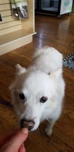 Pet Supply Store «Brookside Barkery & Bath», reviews and photos, 118 W 63rd St, Kansas City, MO 64113, USA