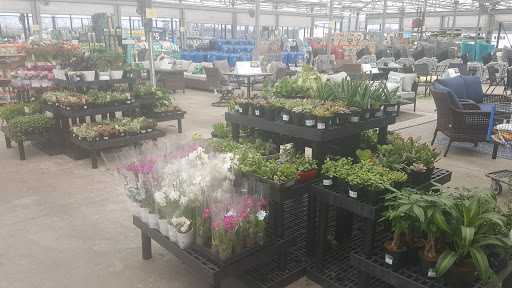 Department Store «Walmart Supercenter», reviews and photos, 23561 US-59, Porter, TX 77365, USA