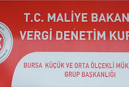 T.C. Hazine ve Maliye Bakanlığı Vergi Denetim Kurulu Bursa Denetim Daire Başkanlığı Ana Hizmet Binası.